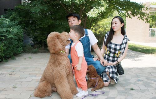 狗狗當(dāng)“家教” 萌寵叼衣架監(jiān)督小主人寫作業(yè)，神似操心老母親